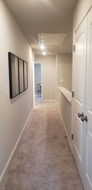 A cozy hallway with plush carpeting, neutral walls, and modern lighting leading to a bright room.
