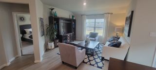 A cozy living space with elegant decor, large windows, and warm wood flooring for a welcoming feel.