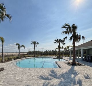 A resort-style swimming pool surrounded by palm trees, stylish pavers, and lounge seating in Gardenia Reserve by Mattamy Homes (Apopka, FL).