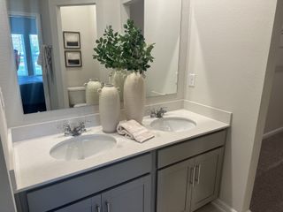 A chic bathroom featuring a double sink vanity, sleek countertops, and elegant vases with greenery for a modern touch.