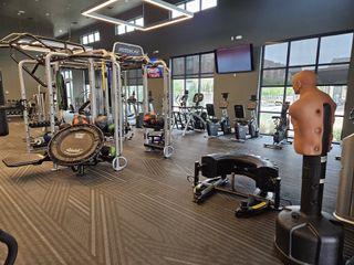 A modern gym with state-of-the-art workout equipment and ample natural light filtering through large windows.