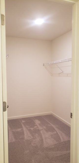 Model Home A spacious walk-in closet with plush carpeting and ample shelving space for organized storage.