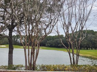 A scenic golf course view with a serene water feature and lush greenery in Amelia National by ICI Homes (Fernandina Beach, FL).