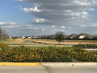 Peaceful neighborhood view with vibrant flowers and open green spaces in Marvida Trails South by KB Home (Cypress, TX).