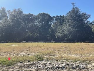 Street view A sunny plot with lush trees in Fiddler Cove by DRB Homes, Mount Pleasant, SC, perfect for a serene new home.