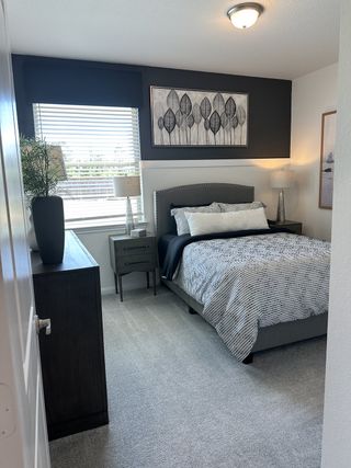 Model Home A cozy bedroom featuring dark accent walls, modern bedding, and elegant artwork, enhanced by natural light and simple decor.