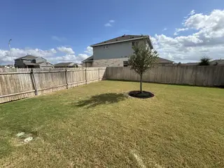 Model Home A spacious backyard with a single tree and wooden fence in Village at Manor Commons by Pacesetter Homes (Manor, TX).