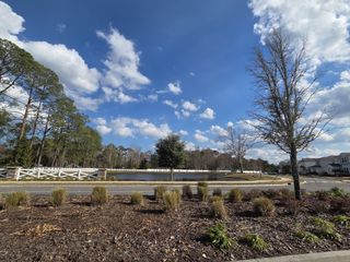 A scenic view with landscaped greenery and a serene pond in Bradley Pond by Pulte Homes, Jacksonville, FL.