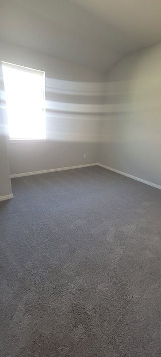 A spacious bedroom featuring plush gray carpeting, soft neutral walls, and natural light filtering through a window.