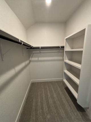 A spacious walk-in closet with built-in shelving and carpeted flooring.