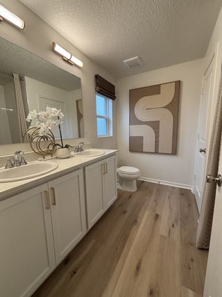 A modern bathroom with dual sinks, elegant decor, and wood flooring.