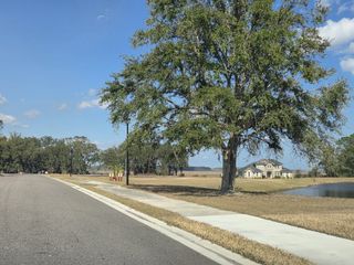 A serene neighborhood scene with a charming house under a large tree in Edwards Creek Estates by SEDA New Homes (Jacksonville, FL).