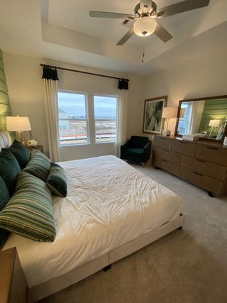 A serene primary bedroom with a tray ceiling, plush carpet, and large windows offering natural light.