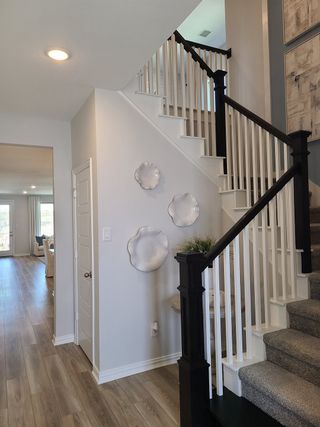 A modern entryway with a carpeted staircase, decorative wall plates, and sleek wood flooring leading to a bright living area.