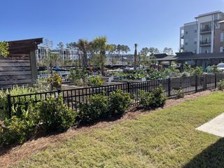 Community garden view with landscaped greenery in Encore - Restore at Carolina Park by David Weekley Homes (Mount Pleasant, SC).