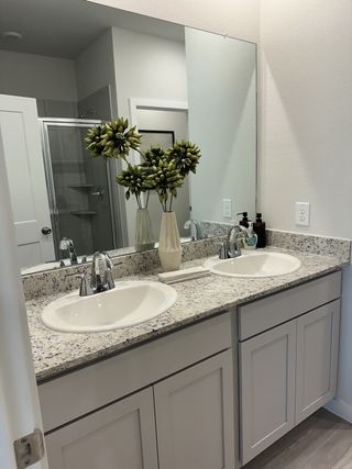Model Home A modern bathroom with dual sinks, granite countertops, and decorative plants for a touch of elegance.