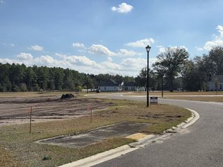 A serene neighborhood street with spacious plots in Edwards Creek Estates by SEDA New Homes (Jacksonville, FL).