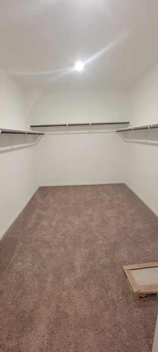 Model Home A spacious walk-in closet with plush carpeting, sleek shelving, and bright lighting.