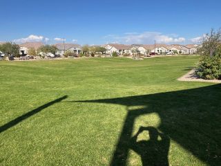 Expansive green lawns and modern homes at Ravenna at Rancho Mercado by Taylor Morrison in Surprise, AZ.