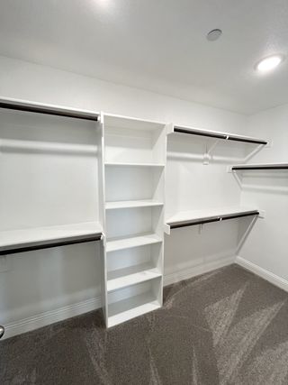 A spacious walk-in closet with sleek white shelving, ample hanging space, and plush carpet flooring.