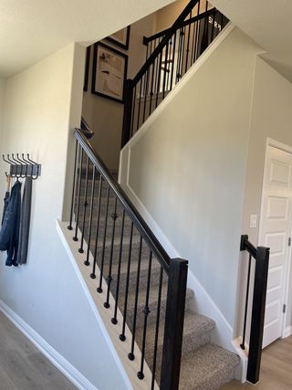 A modern staircase with black railings and carpeted steps, complemented by minimalist decor and light-toned walls.