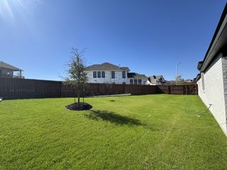 A green backyard with a wooden fence in Homestead 55' by Perry Homes, Schertz, TX.