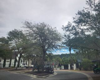 A beautiful gated entrance with lush landscaping welcomes you to the prestigious Amelia National by ICI Homes.