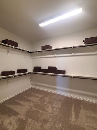 Model Home A spacious walk-in closet with carpeted flooring, ample shelving, and practical overhead lighting.