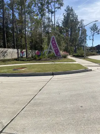 A scenic street view with a playful "A" feature in ARTAVIA® - 65' Art Collection by Westin Homes (Conroe, TX).