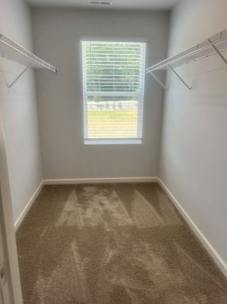 A bright walk-in closet with carpet flooring and ample shelving beneath a large window.