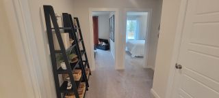 A cozy hallway featuring a sleek black ladder shelf with decorative accents and view into two inviting bedrooms.