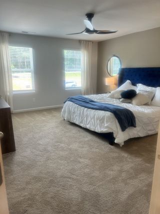A cozy bedroom with plush carpeting, a tufted navy headboard, elegant curtains, and a sleek ceiling fan.