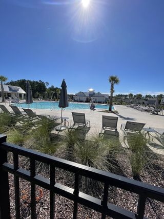 Community Amenities A bright community pool with lounge chairs and palm trees in Watson Hill by Starlight Homes (Summerville, SC).