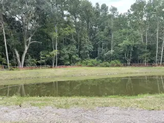 Scenic pond view with lush woods in Waterloo Estates by Dream Finders Homes (Johns Island, SC).