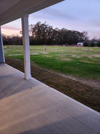 A tranquil patio view of expansive green fields and trees in Cool Water by Adams Homes (Bailey, NC).
