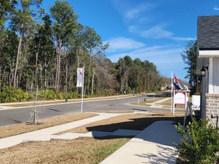 Street view Charming wooded street in Shadow Crest at Rolling Hills by Adams Homes, Green Cove Springs, FL.
