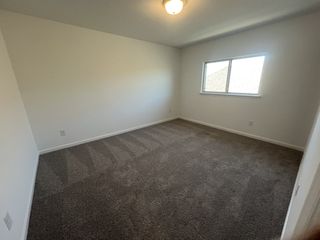A cozy room with plush carpet, neutral walls, and a ceiling light, featuring a window bringing in natural light.