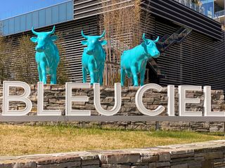 Street view Modern architecture featuring vibrant turquoise bull sculptures at Bleu Ciel by Harwood International (Dallas, TX).