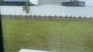 Street view A well-maintained backyard with a neat lawn and young trees in Chateau at Astonia by Lennar (Davenport, FL).