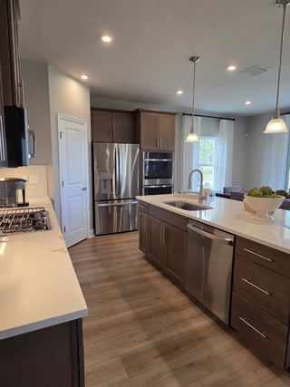 A modern kitchen featuring stainless steel appliances, sleek cabinetry, and elegant pendant lighting.