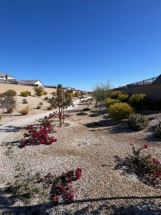 Scenic desert landscape with pathways and vibrant plants in Zanjero Pass by D.R. Horton (Waddell, AZ).