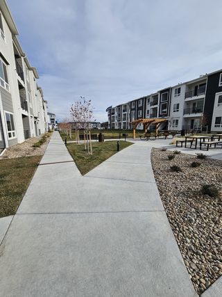 Street view Modern apartments with landscaped pathways and a gazebo at Gateway Commons by Lokal Homes (Denver, CO).