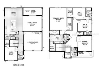 New construction Single-Family house 5107 Firebush Dr, Apopka, FL 32712 - image
