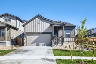 New construction Single-Family house 820 Rattle Rd, Windsor, CO 80550 plan Daisy - image