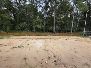 New construction  house 227 Rustic Alder Dr, Crosby, TX 77532 plan Charlton - image