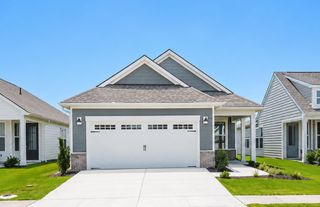 New construction Single-Family house 4169 Yellow Flag Iris St, Leland, NC 28479 plan Contour - image