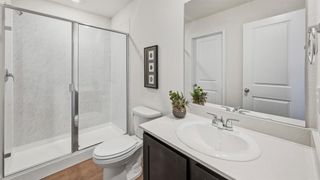 New construction Single-Family house 300 Arbor Dr, Princeton, TX 75407 plan Dewsbury - image