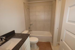 New construction Single-Family house 19702 Centennial Park Ln, Cypress, TX 77433 plan Windsor - image