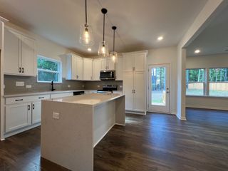 New construction  house 141 Oswego Dr, Louisburg, NC 27549 plan Hudson - image