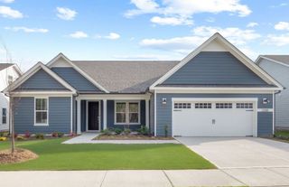 New construction Single-Family house 47 Scarlet Sage Dr, Bluffton, SC 29910 plan Stellar - image